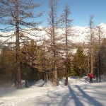 Ski - Col de la Lauze - vers la sortie de la forêt