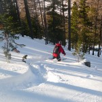 Ski - Col de la Lauze - Derniers bons virages entre les souches