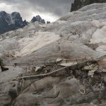 Glacier Blanc - Les restes d'un coucou?