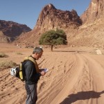 Wadi Rum - L'arbre de la vallée