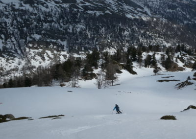 Raid ski randonnée Cerces - Champ de moquette