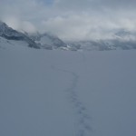 Dôme des Ecrins - Notre trace sur la Glacier Blanc faite avec 0 visibilité!