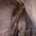 Petra - Retour par le wadi Ad-Muhdlim, un canyon hallucinant