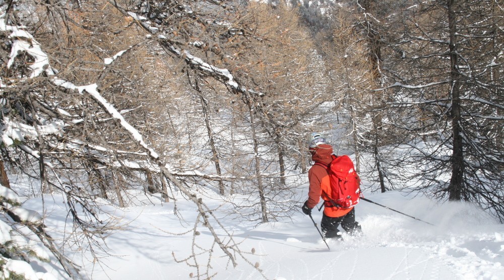 Ski de rando - Crête de la Seyte - Promenons nous dans les bois